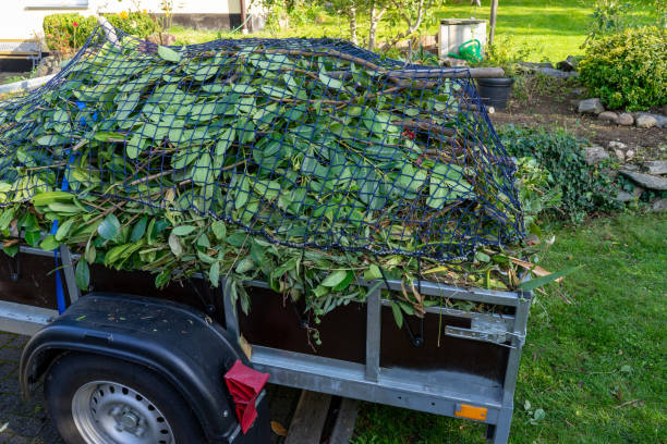 Best Moving and Downsizing Cleanouts  in Schler Park, IL
